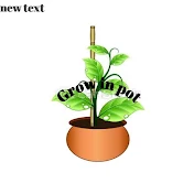 Grow in pot