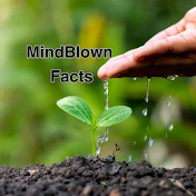 MindBlown Facts