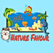 Nature Favour