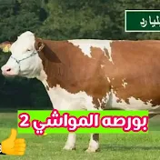 بورصه المواشي مع ابو يوسف2