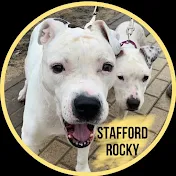 Stafford Rocky