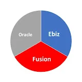 Oracle Ebiz and Fusion Videos