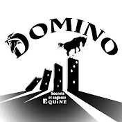 Domino : secrets et sagesse équine