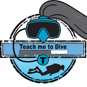 Teach Me To Dive