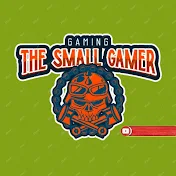 The Small Gamer