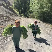 Kids_Youtube_Shogla🇦🇫