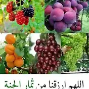 الزراعة نفط دائم