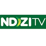 NDIZI TV