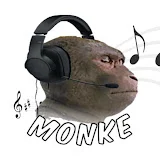 Imagine Monkeys Lyrics