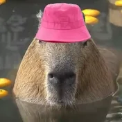 Capybara Clips