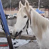 تحويسة من دارك 🇩🇿