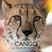 Cango Wildlife Ranch