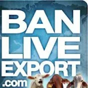 Ban Live Export