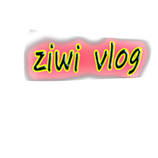 ziwi vlog