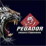 Pegador