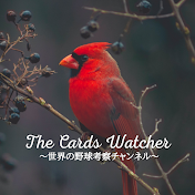 The Cards Watcher_世界の野球考察チャンネル