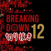 【公認】BreakingDownの格闘部屋