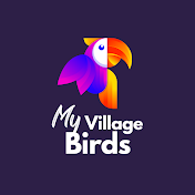 My Village Birds