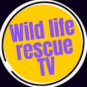 WildlifeRescueTV