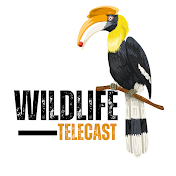 Wildlife Telecast