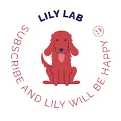 Lily Lab