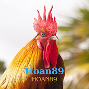 Hoan89