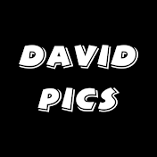 DavidPics