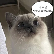 세상은요호지경