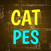 CAT PES