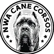 NWA Cane Corsos