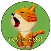 TV보는 고양이