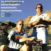 Animal Experts inc Tucson Az