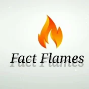 Fact Flames