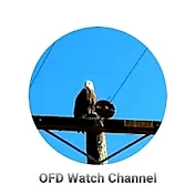 OFD Watch Reviews
