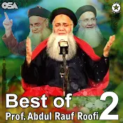 Abdul Rauf Rufi   - Topic