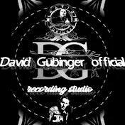 David Gubinger official
