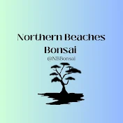 Northern Beaches Bonsai