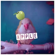 蘋果屁孩Apple Apple Biu