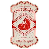 cherrybonbon洋裁店∼もりやまひとみ式draping school∼