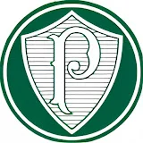 NOTÍCIAS SE PALMEIRAS