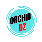 Orchid DZ