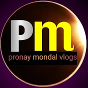 pronayvlog