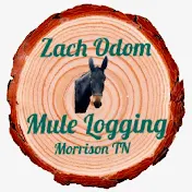 Zach Odom Mule Logging