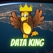 Data King