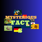 Mysterious Facts