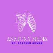 Anatomy Media