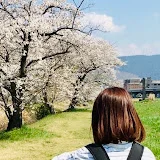 独身女のソロ活日記