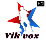 VikVox