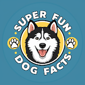 Super Fun Dog Facts