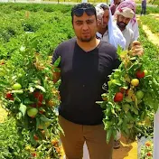 الناشط الزراعي محمود راغب